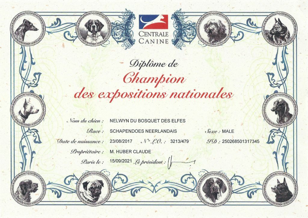 Du Bosquet Des Elfes - Nelwyn Champion de France des Expositions Nationales