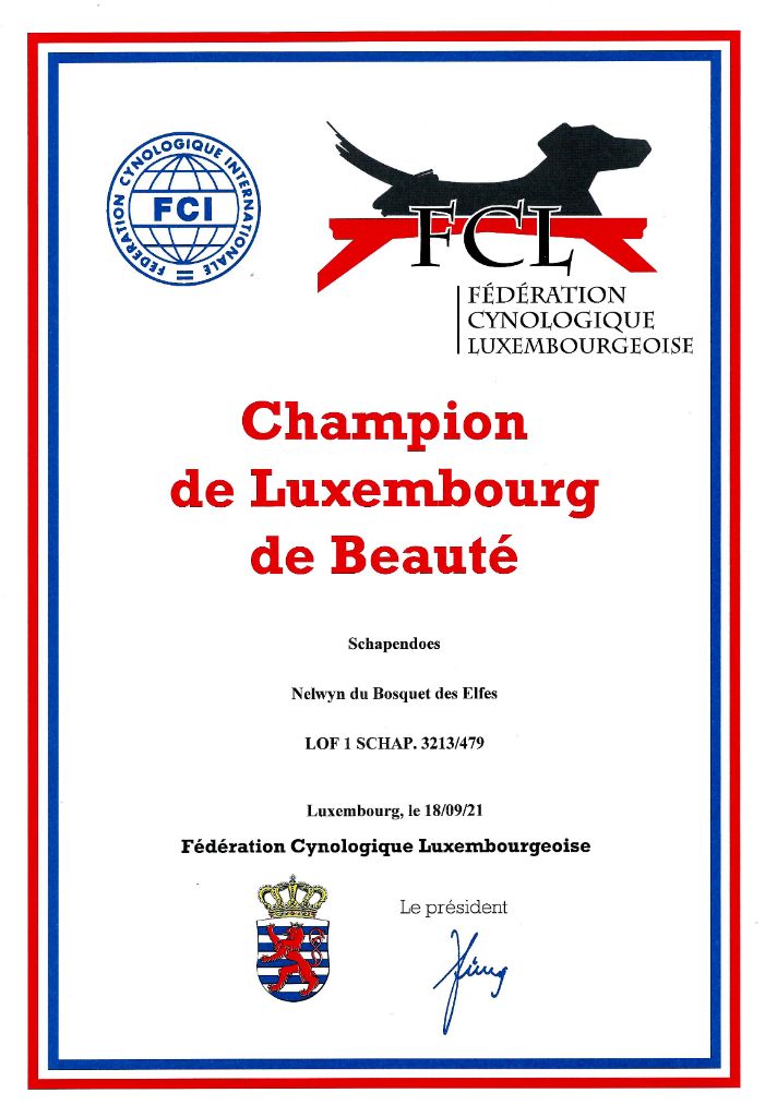 Du Bosquet Des Elfes - Nelwyn Champion de Luxembourg 2021