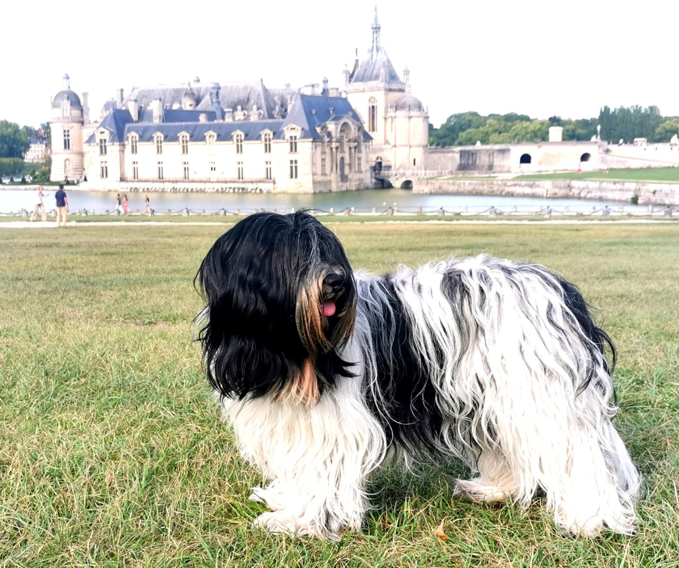 Waboodhi yseult De Nature Paisible