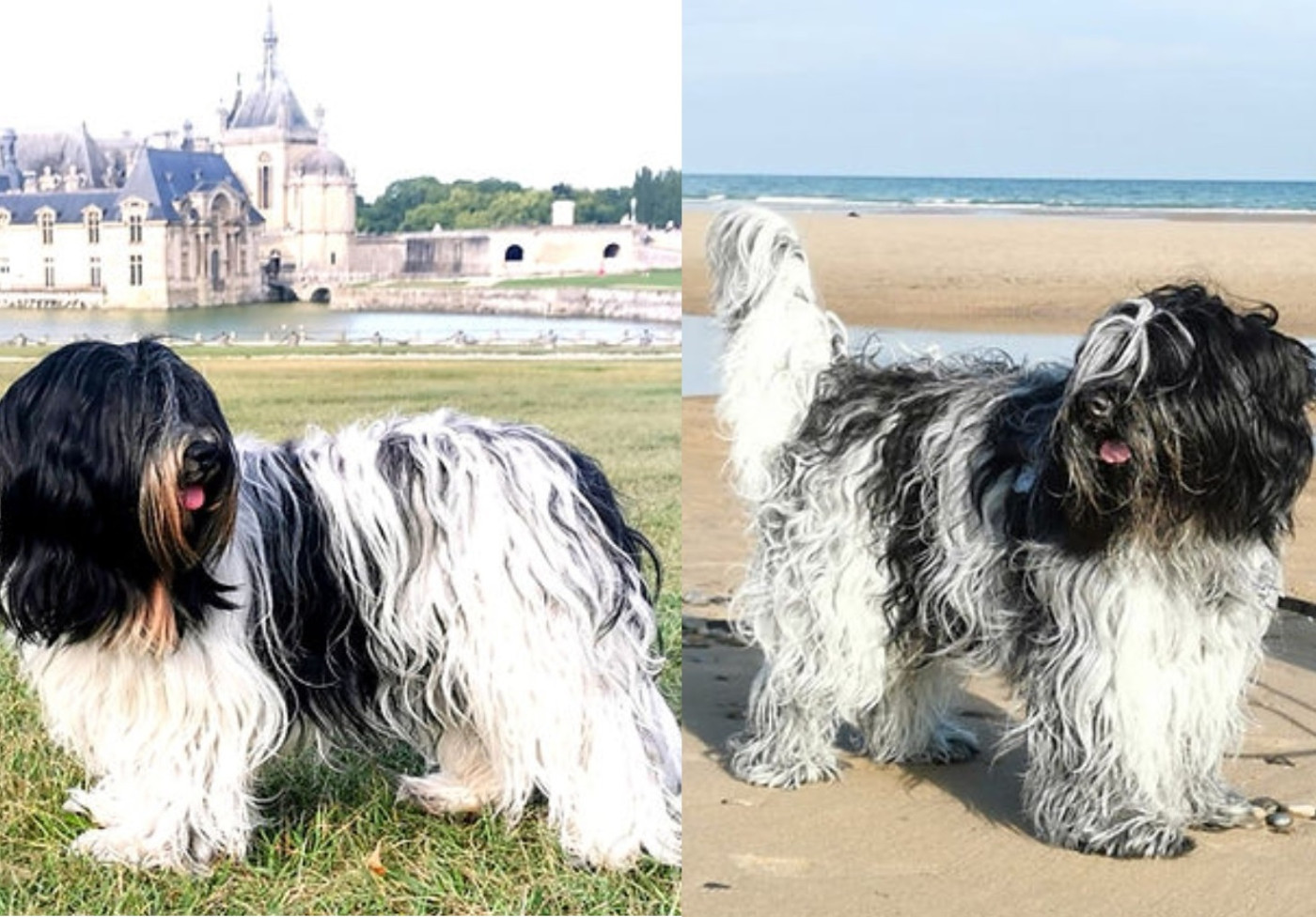 Mariage au Bosquet des Elfes !